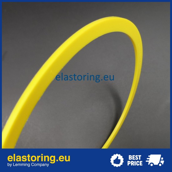 Back up ring RAE 9,13x2,62 L1 [2ERAE101]